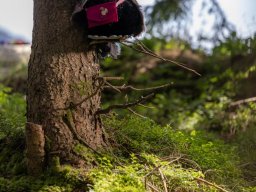 k1600_familiennester_2023-106